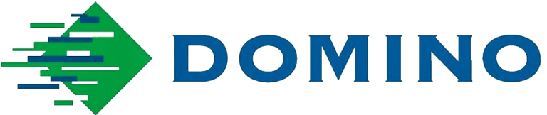 domino logo